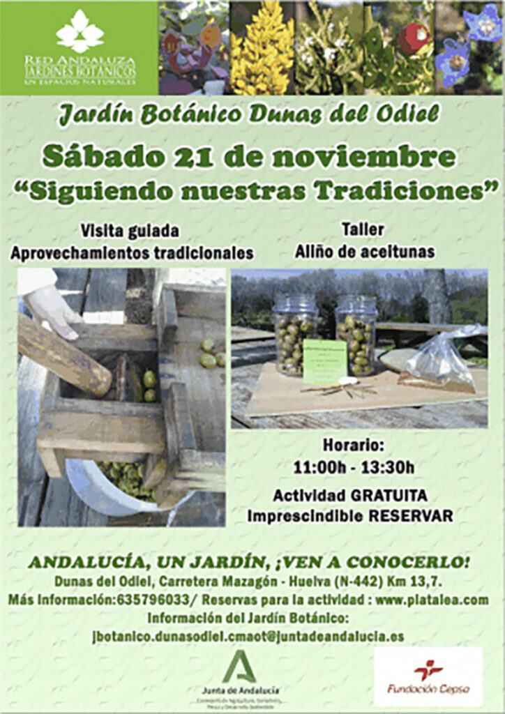 taller aceitunas visita jardin botanico Huelva niños