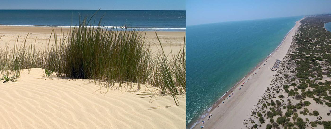 Playas vírgenes de Huelva Flecha del Rompido Nueva Umbría