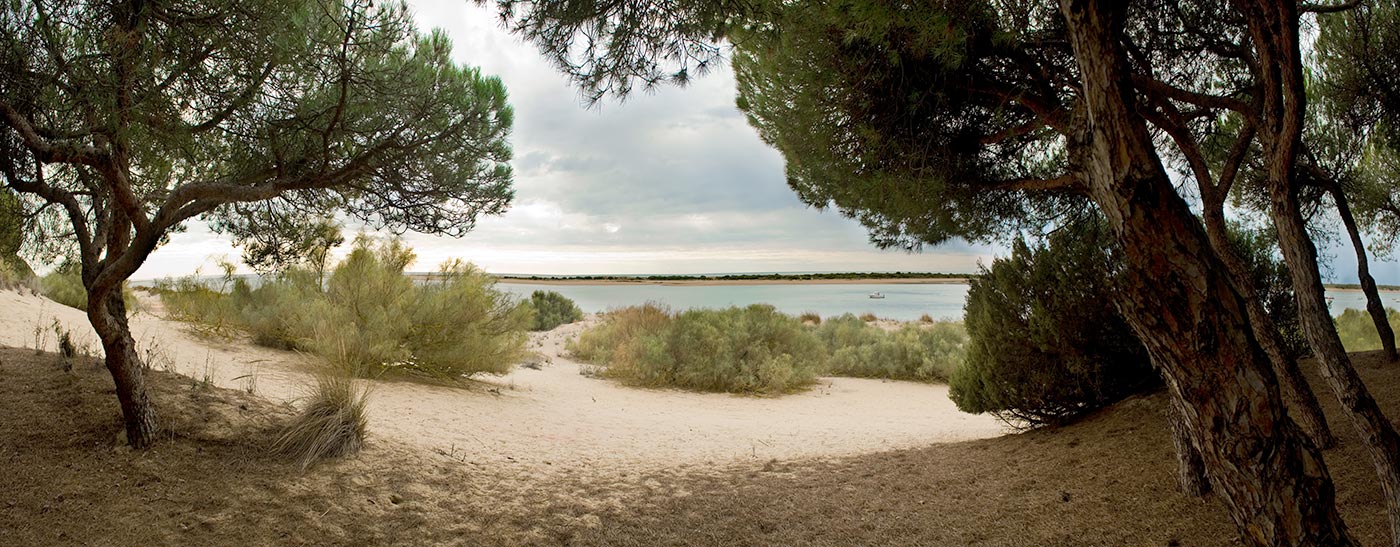 La Playa Virgen de la flecha del Rompido Huelva