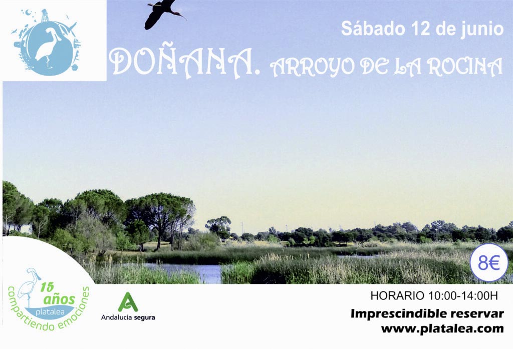 senderismo en Doñana Arroyo de la Rocina 12 de junio con Platalea