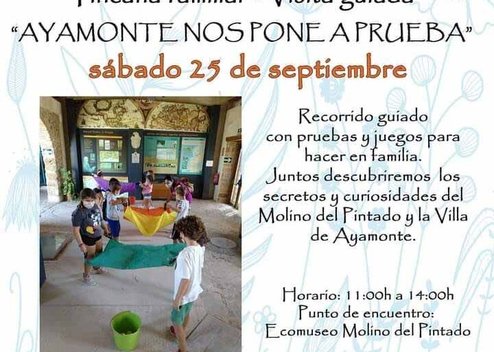 yincana familiar molino pintado 25 septiembre Ayamonte Platalea