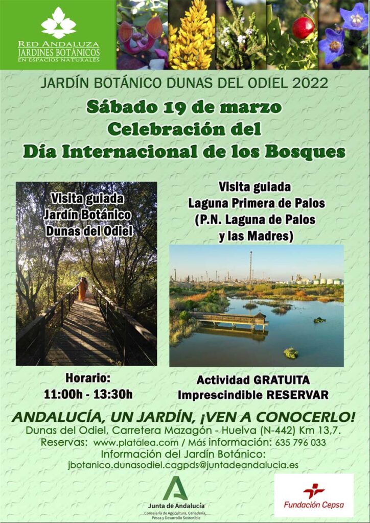 celebracion dia internacional de los bosques visita guiada jarfin botanico laguna primera de palos 19 de marzo 2022