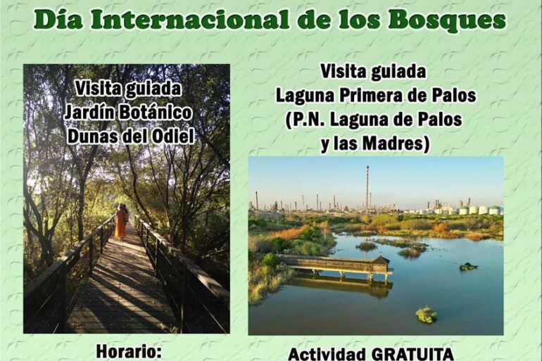 celebracion dia internacional de los bosques visita guiada jarfin botanico laguna primera de palos 19 de marzo 2022