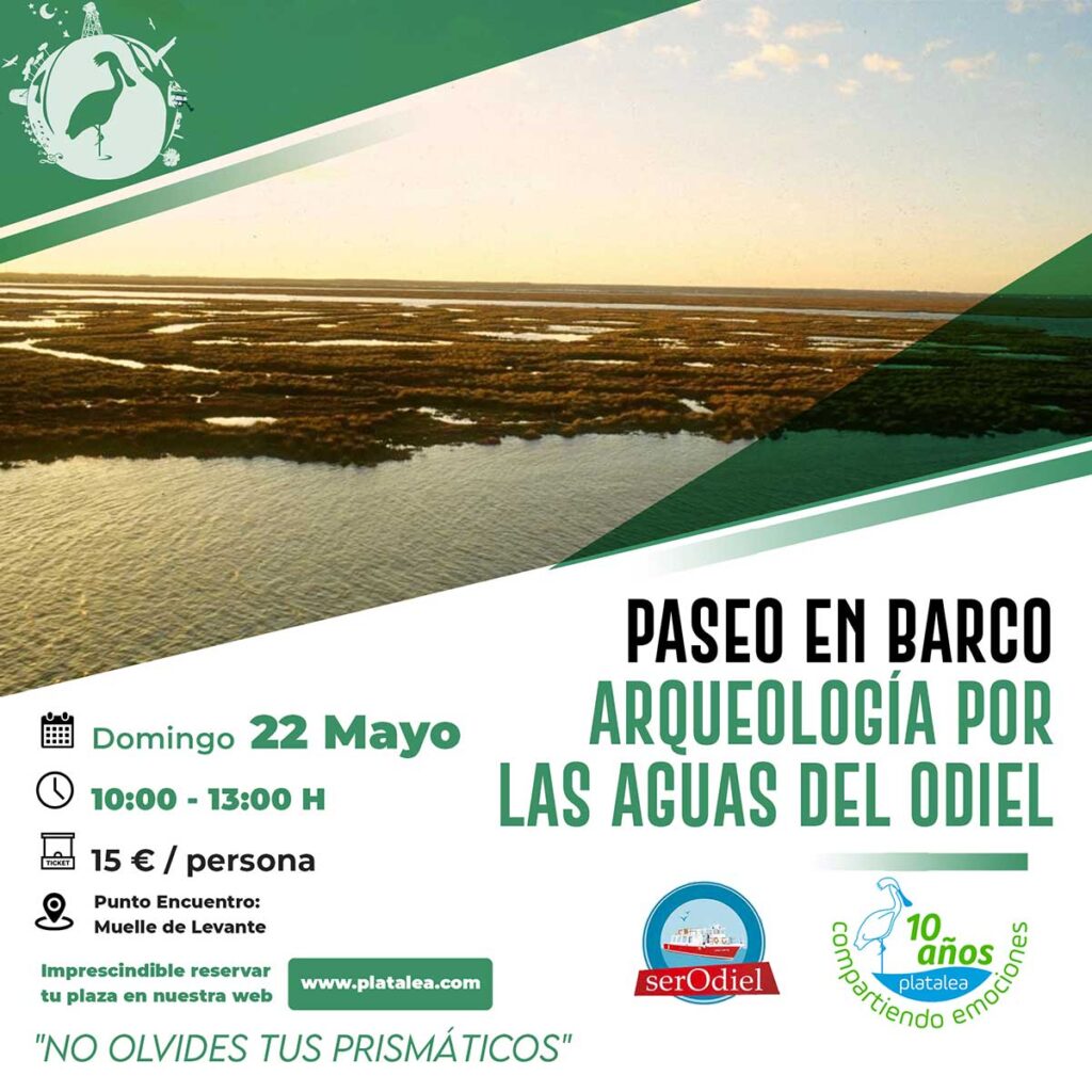 Paseo en Barco Huelva actividades ARqueologia aguas del odiel