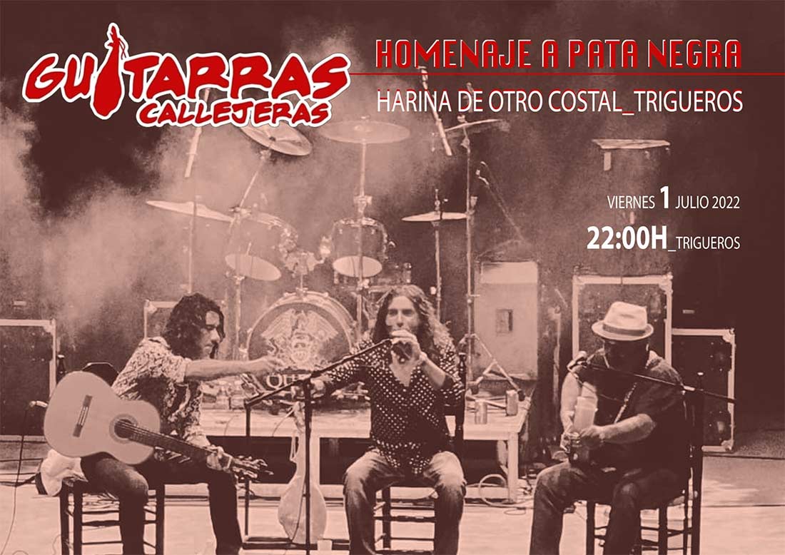Concierto Guitarras Callejeras homenaje a pata Negra Trigueros 1 de julio 2022 Harina de otro costal