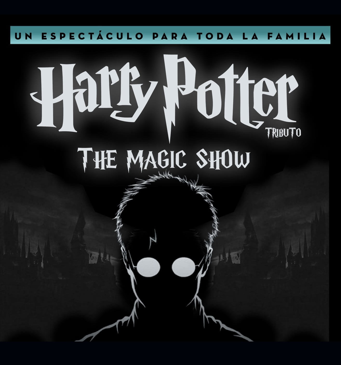 hary potter the magic show
