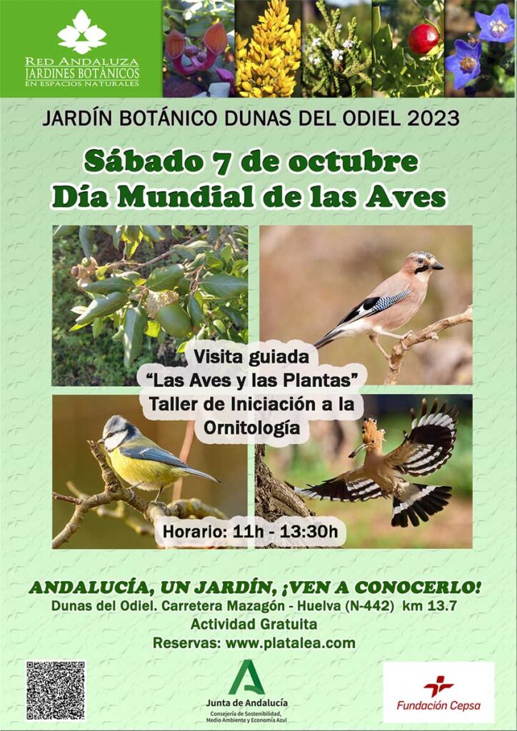 7 de octubre dia mundial de las aves jardin botanico dunas del odiel 2023