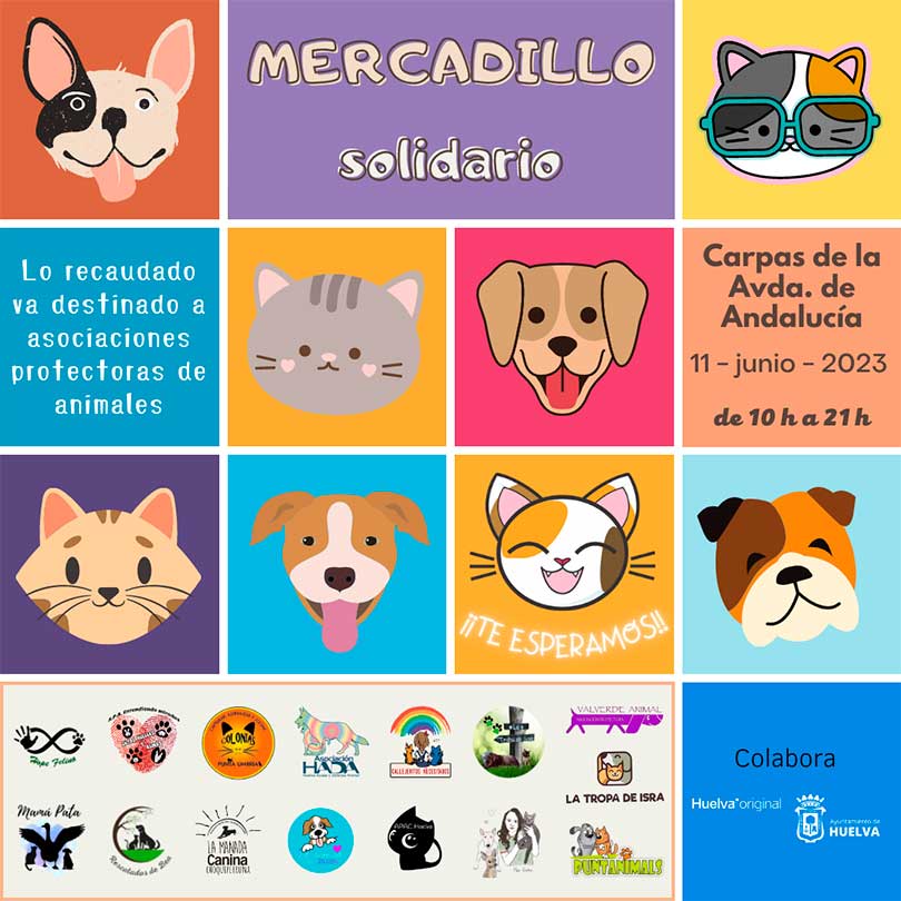 Mercadillo solidario a beneficio de protectoras 11 de junio 2023