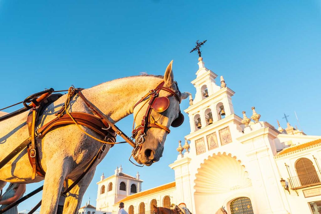 visita el Rocio Huelva Almonte